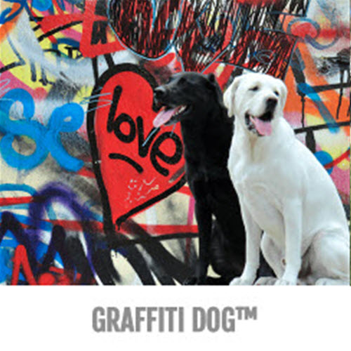 CAD Drawings Gyms For Dogs™ Graffiti Dog™